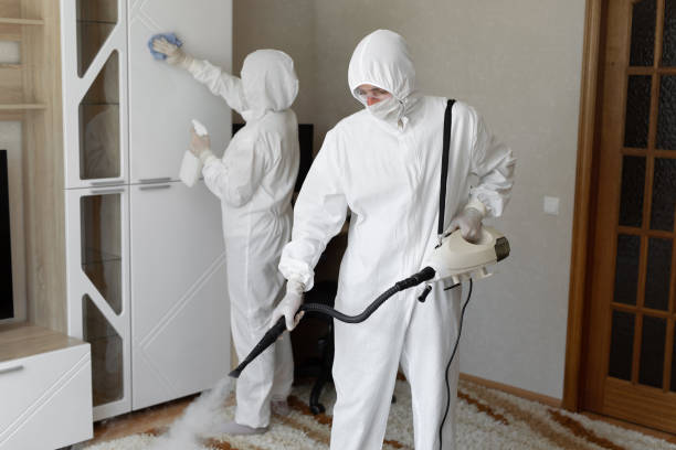 24/7 Emergency Odor Removal experts in McClelland, IA